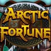 Artic Fortune